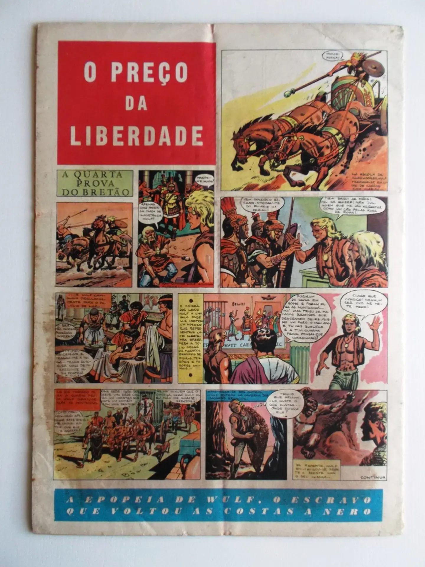O Falcão 13 2