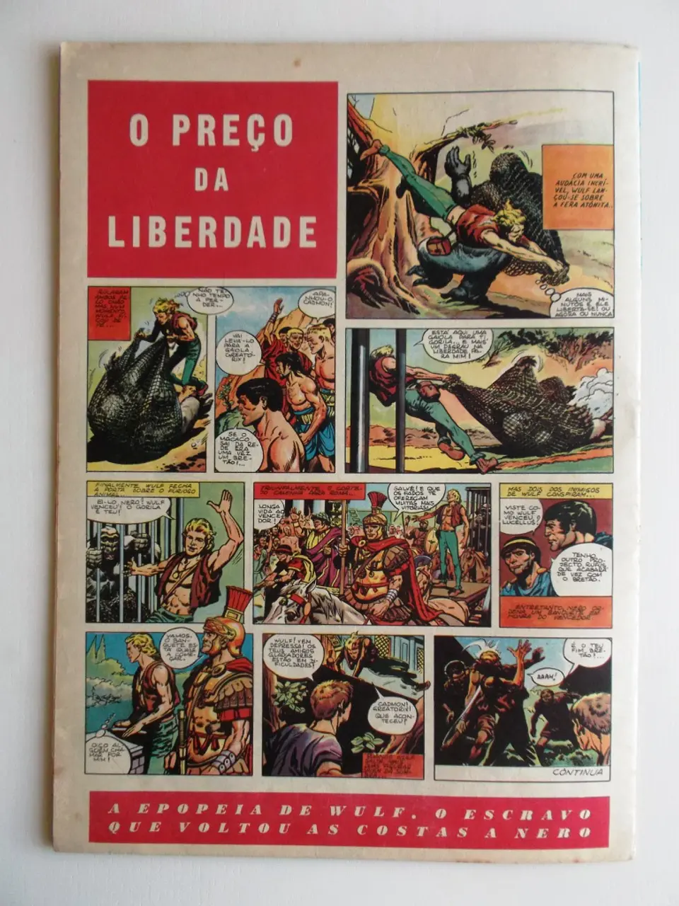 O Falcão 15 2