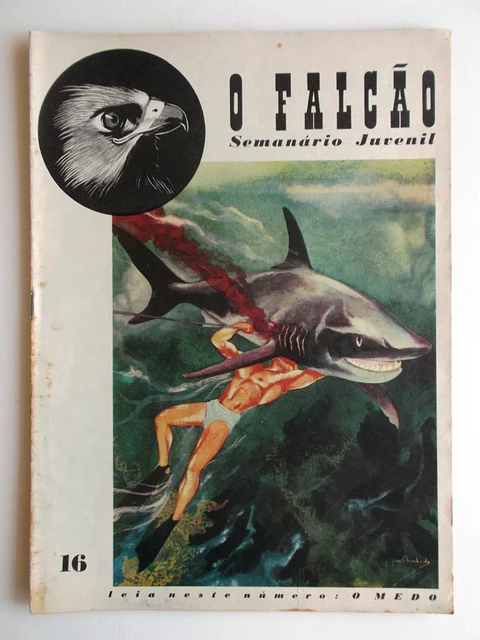 O Falcão 16