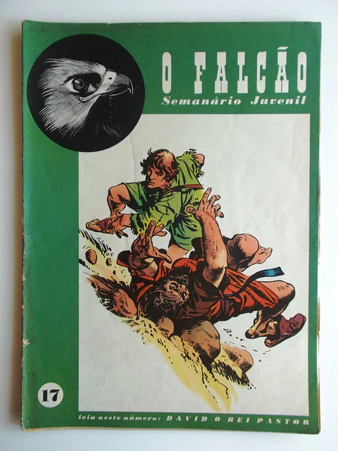 O Falcão 17