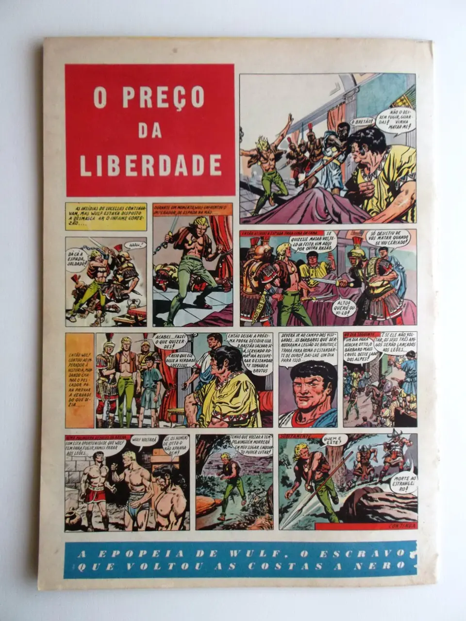 O Falcão 19 2