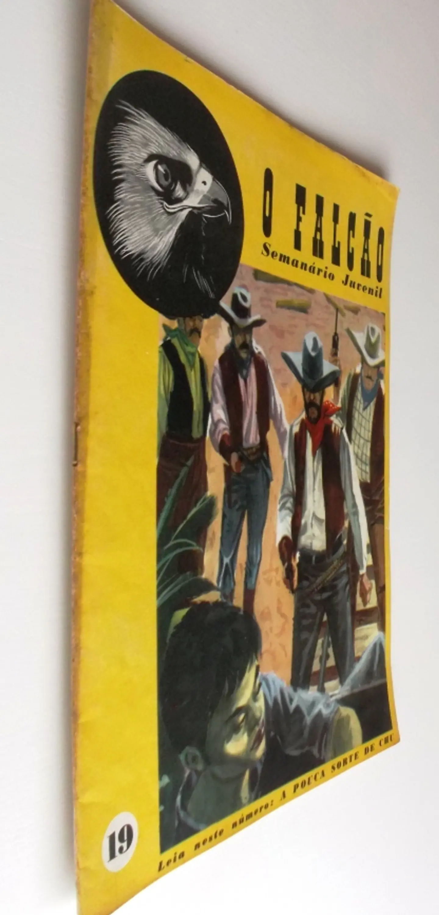 O Falcão 19 3