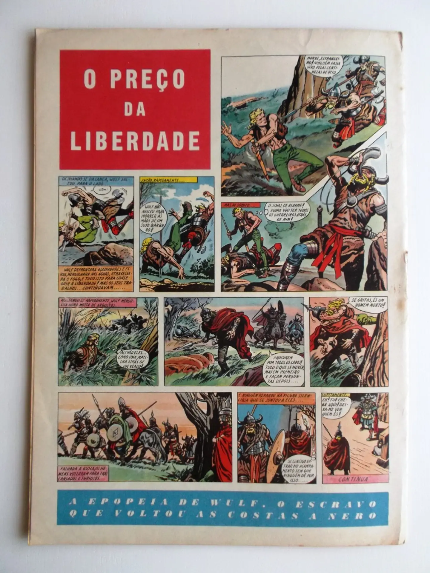 O Falcão 20 2