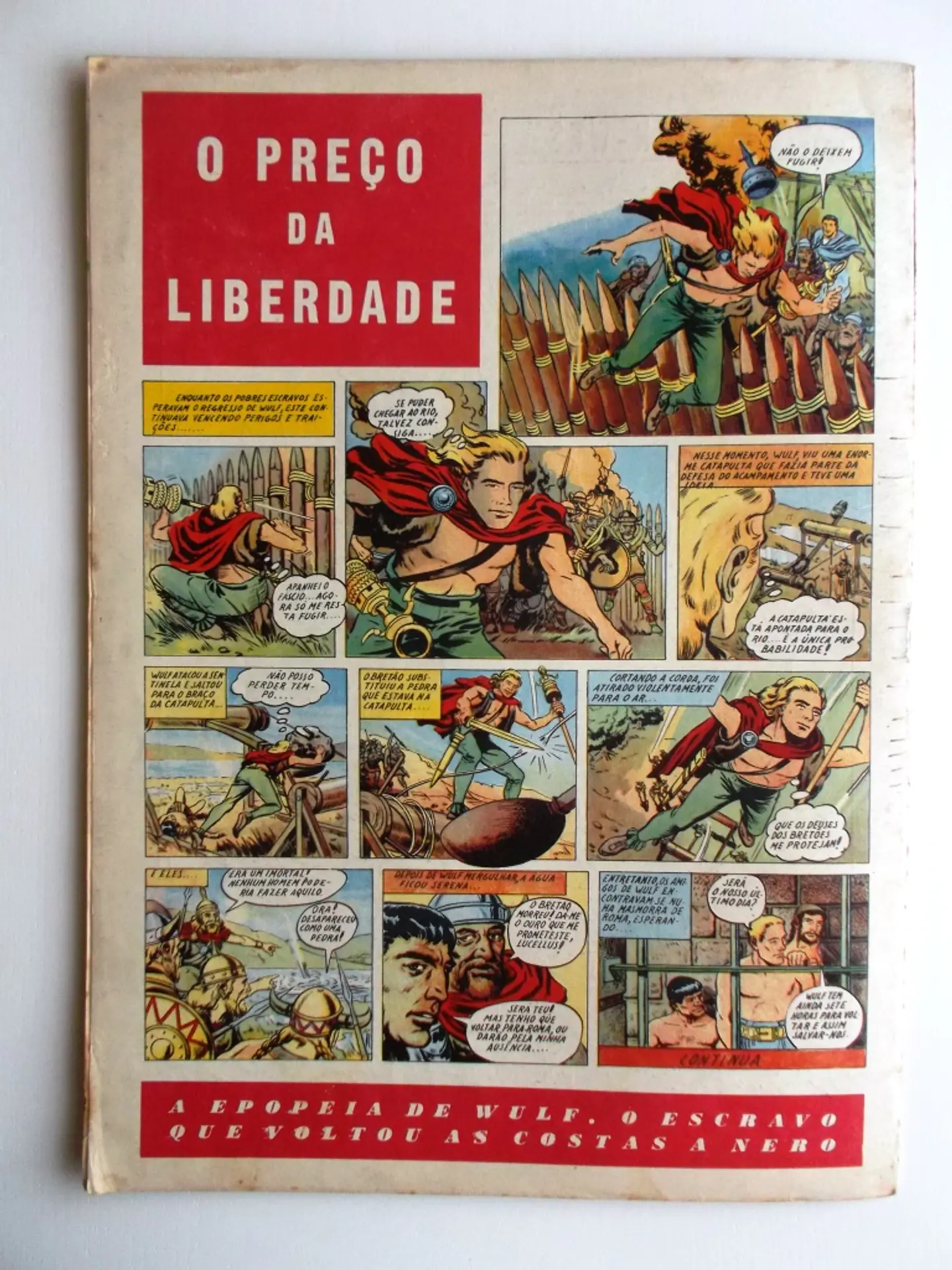 O Falcão 22 2