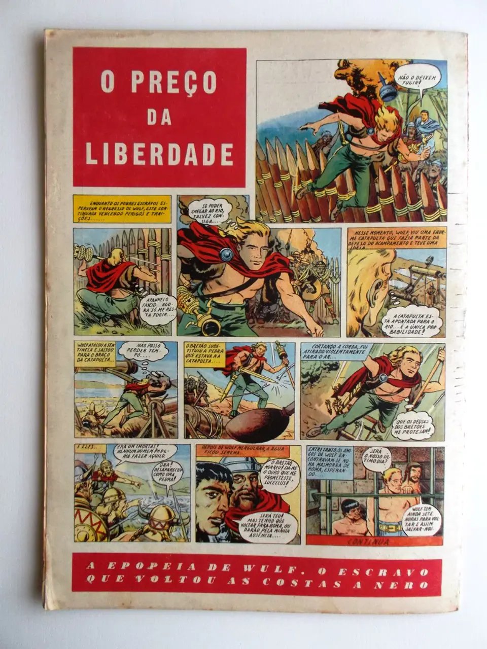 O Falcão 22 2