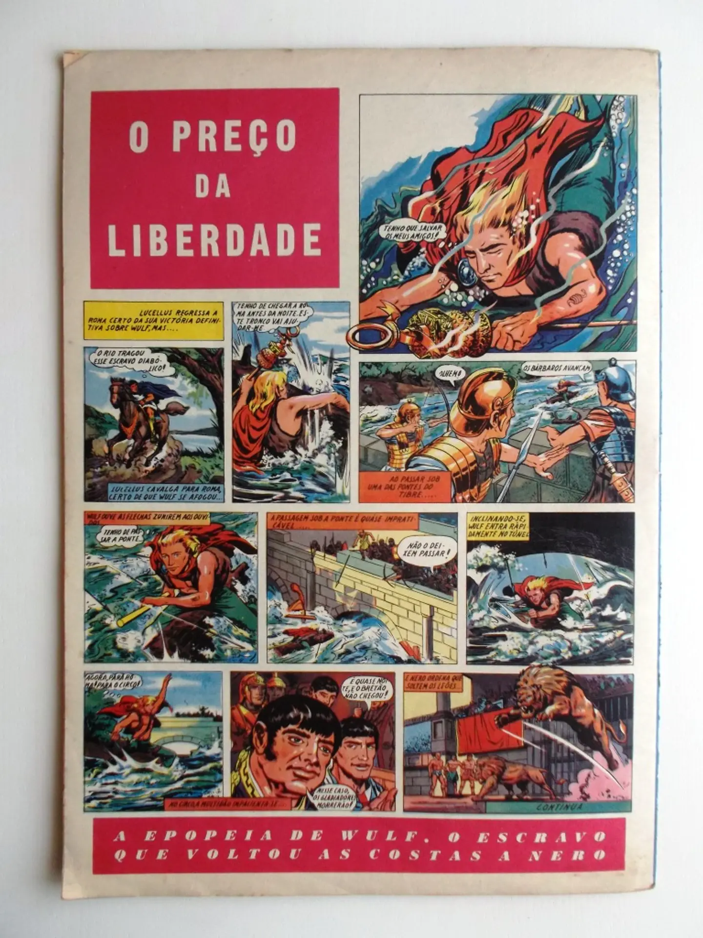 O Falcão 23 2
