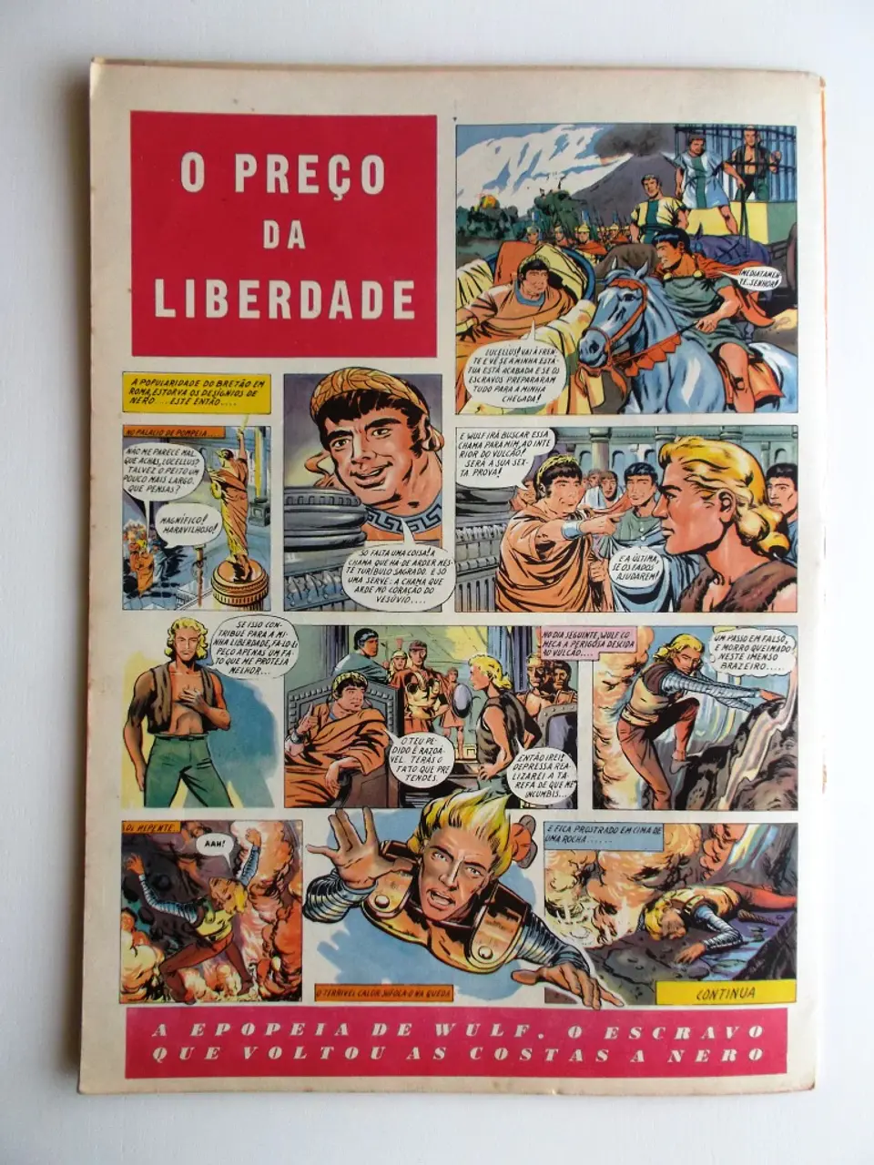 O Falcão 26 2