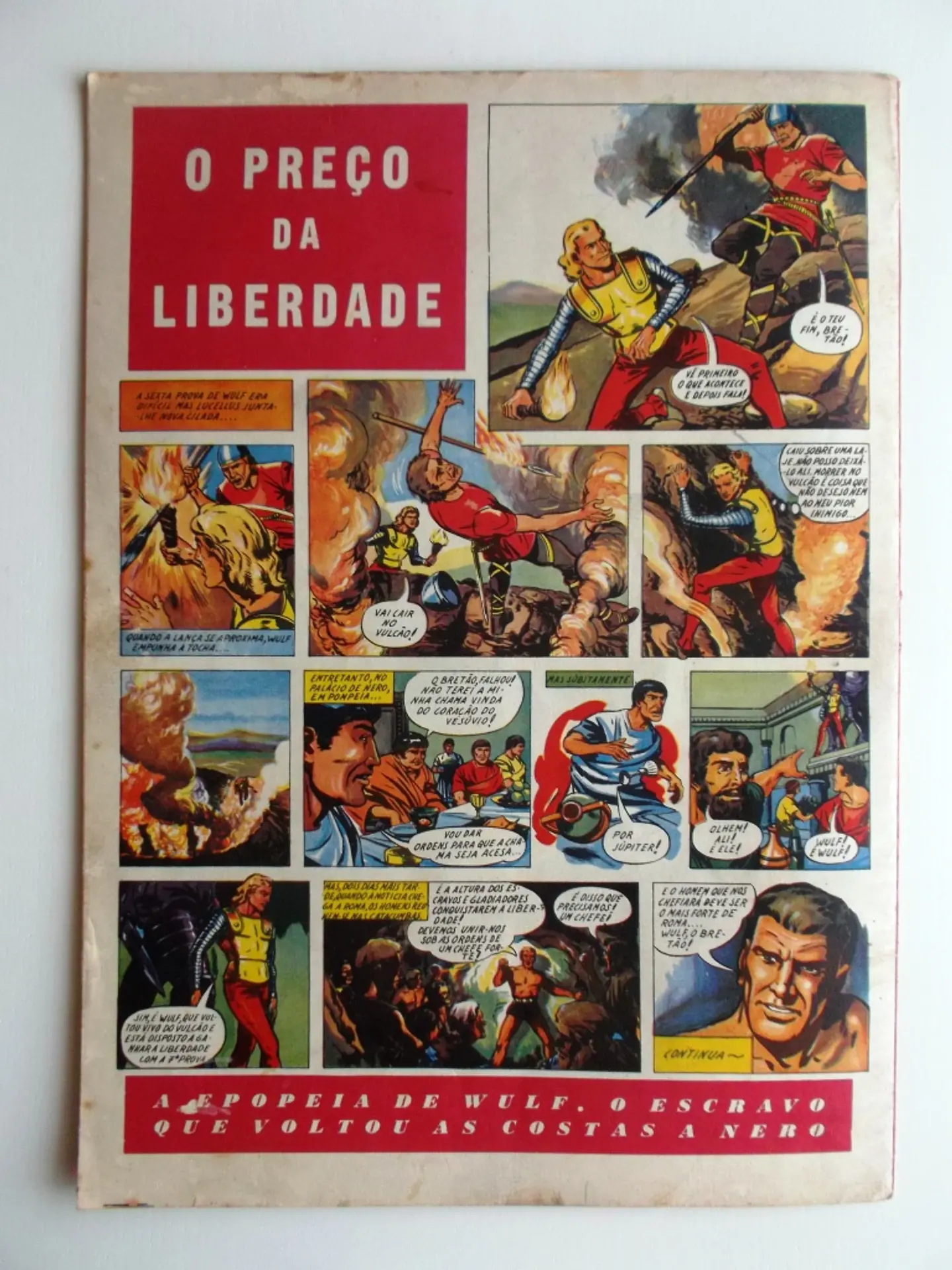 O Falcão 28 2