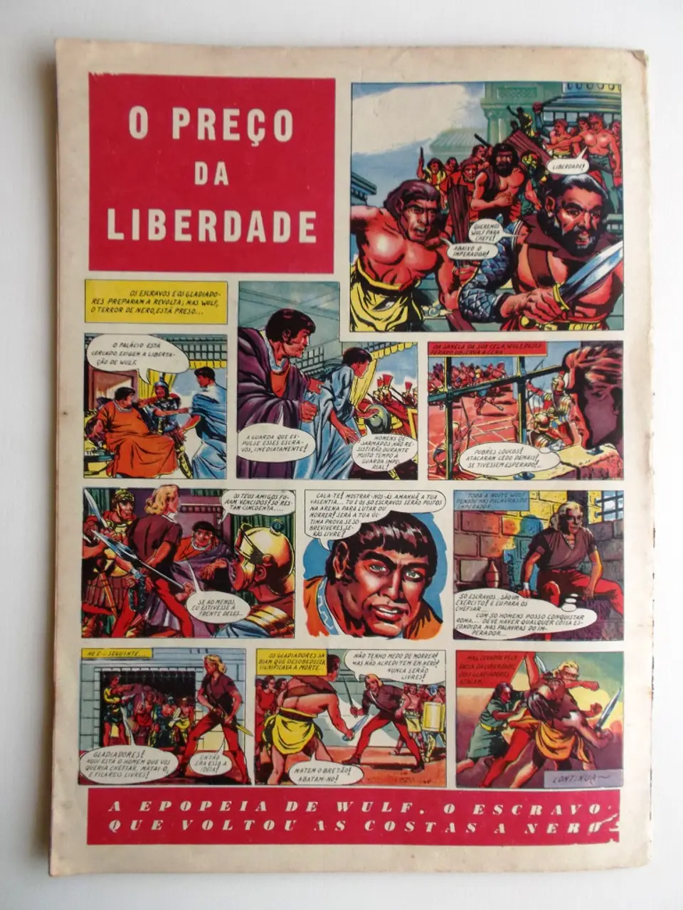 O Falcão 29 2