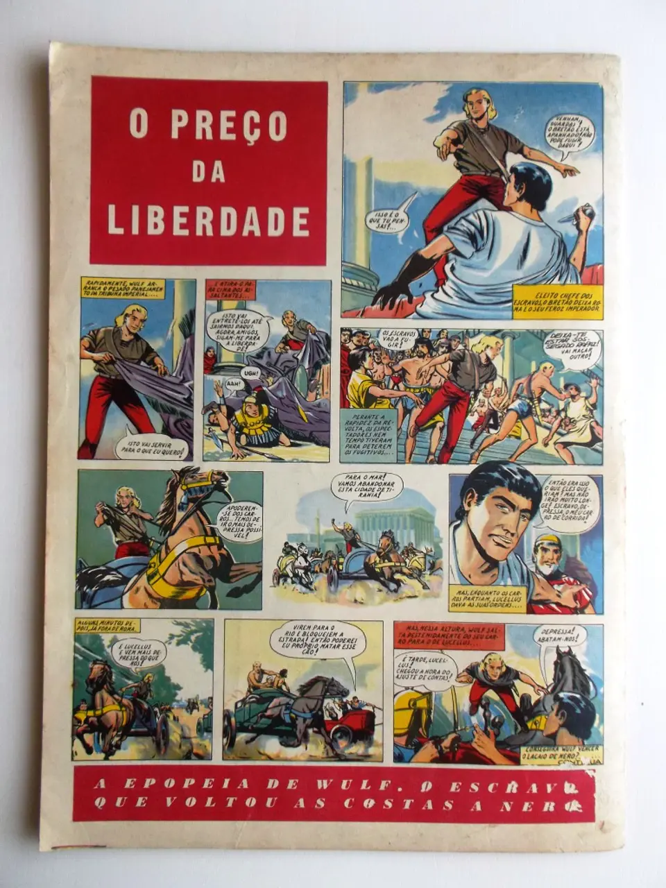 O Falcão 31 2