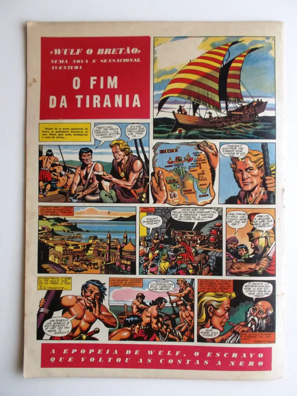 O Falcão 33 2