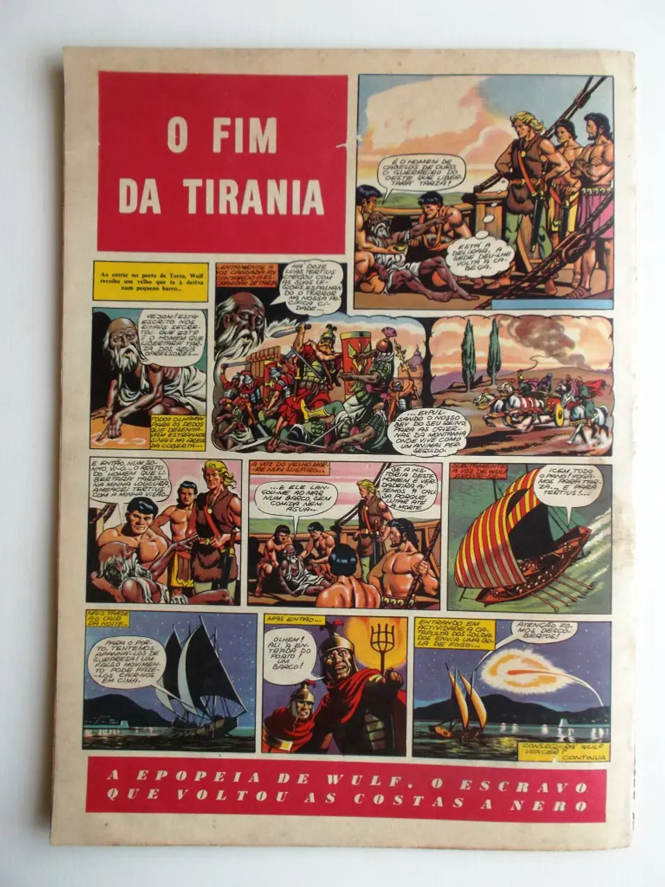 O Falcão 34 2