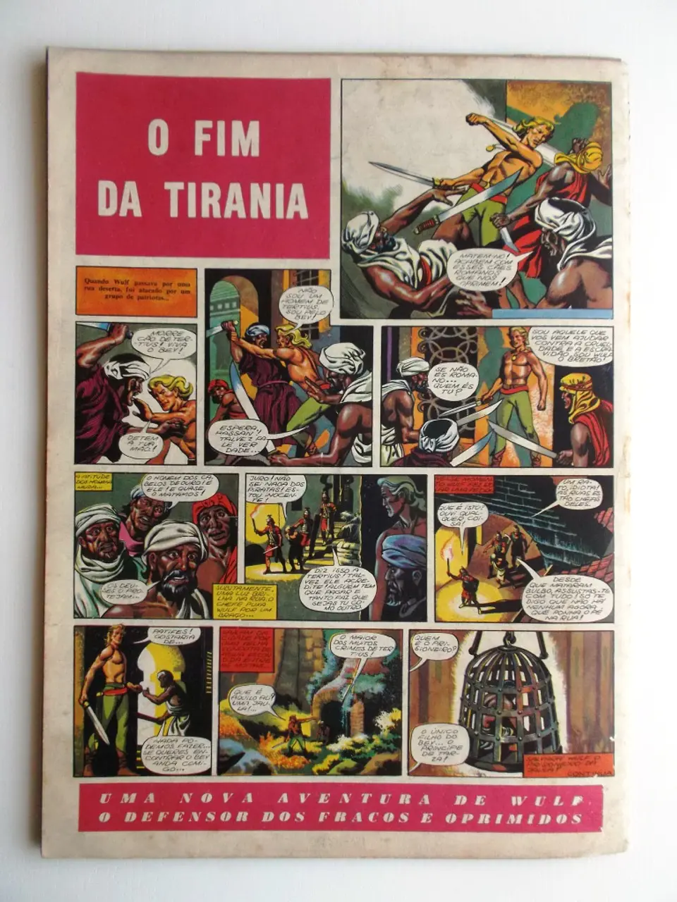 O Falcão 36 2