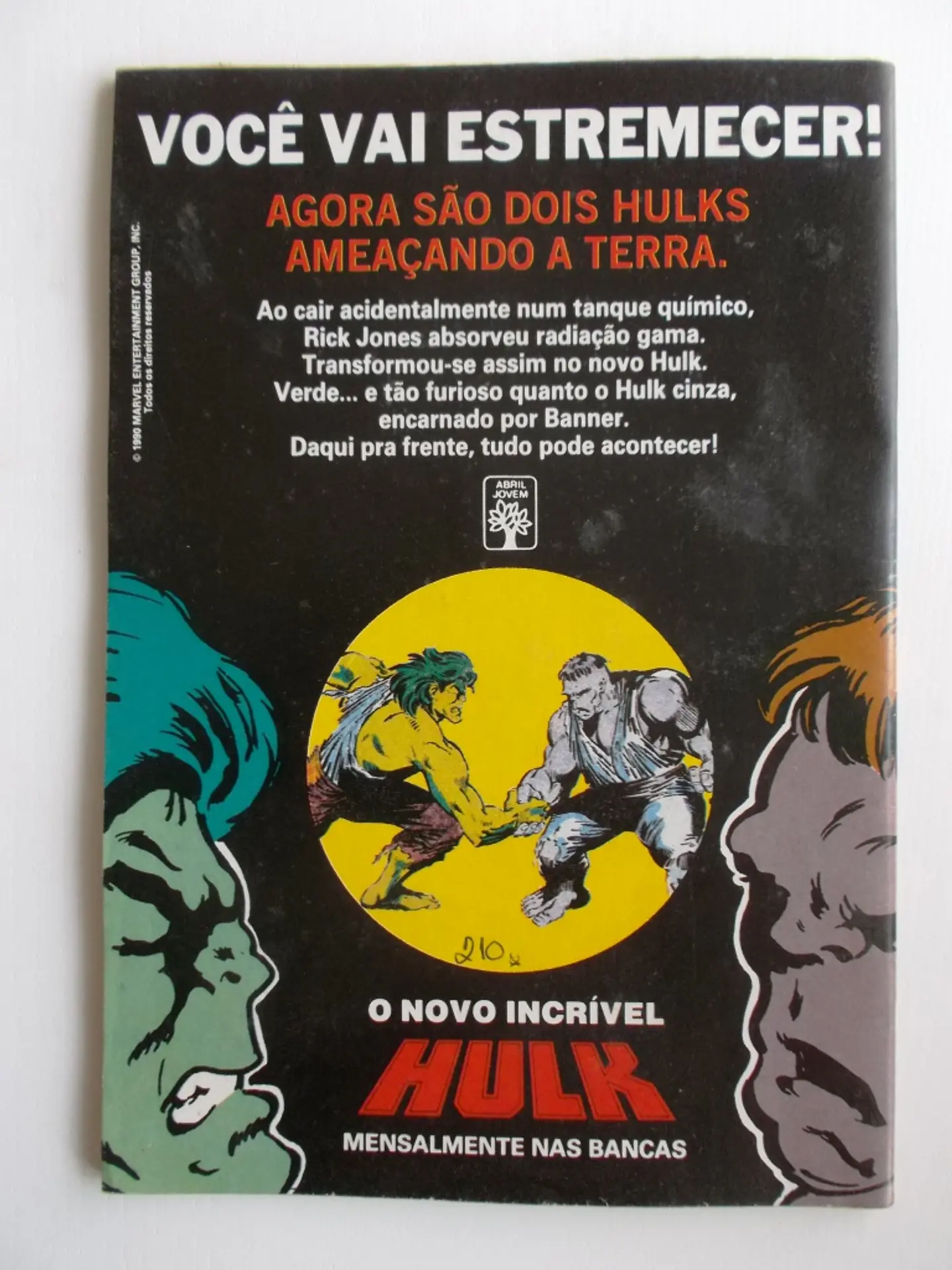 A Teia do Aranha 009 2