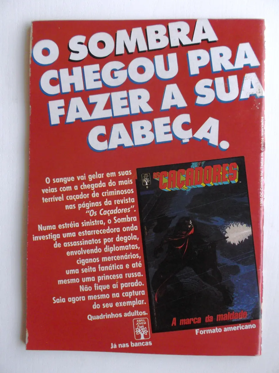 A Teia do Aranha 014 2