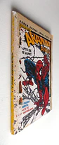 Homem-Aranha Anual 1 - Thumbnail 3