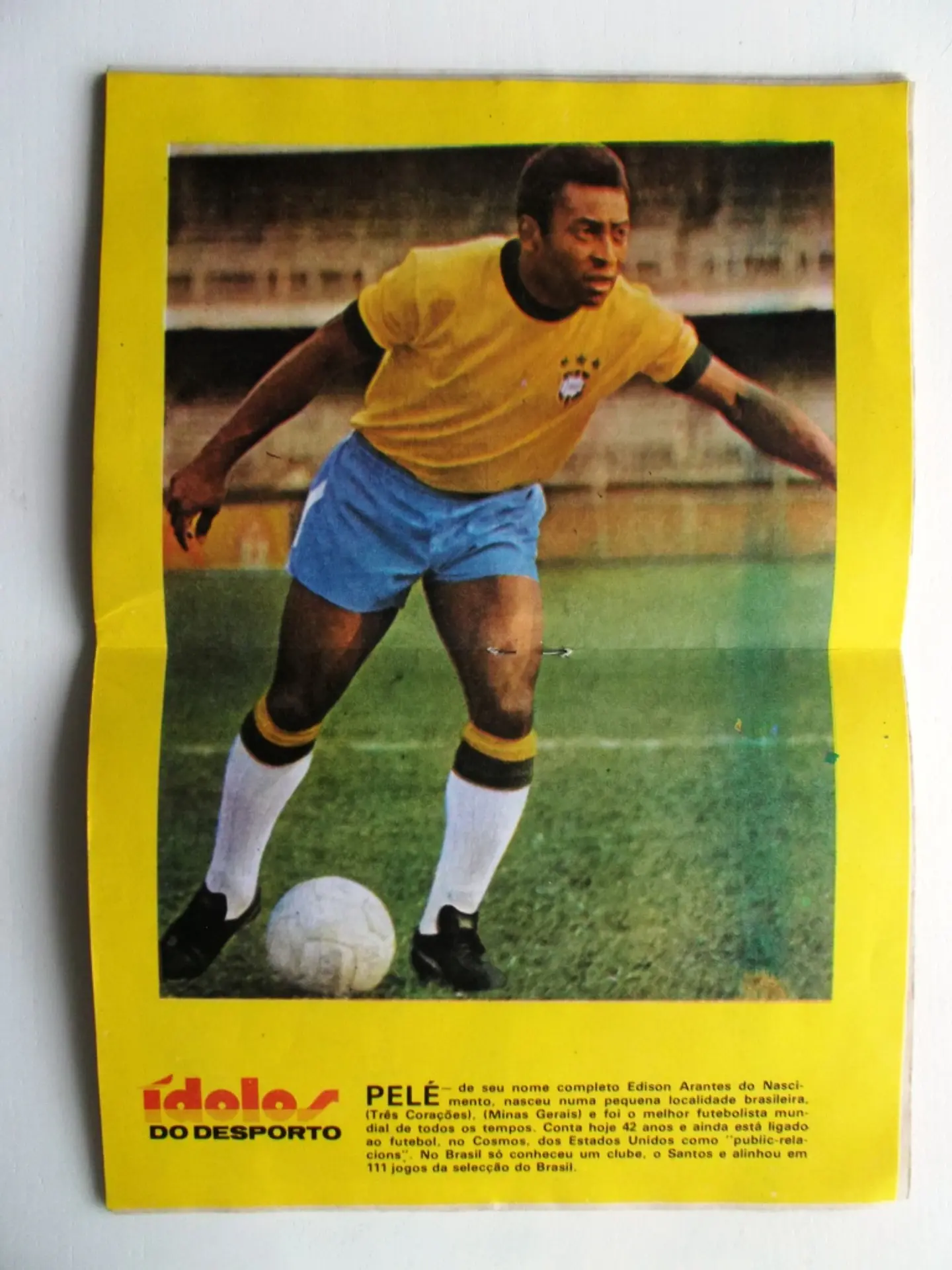 Colecção Tigre 243 | Oliver - Com poster  4