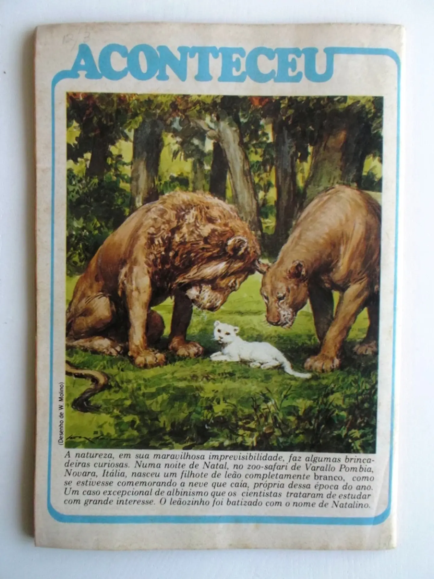 Audax 11 2