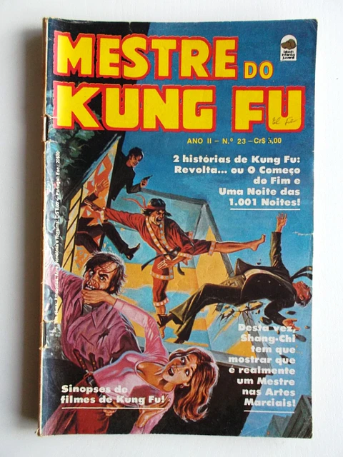 Mestre do Kung fu 23