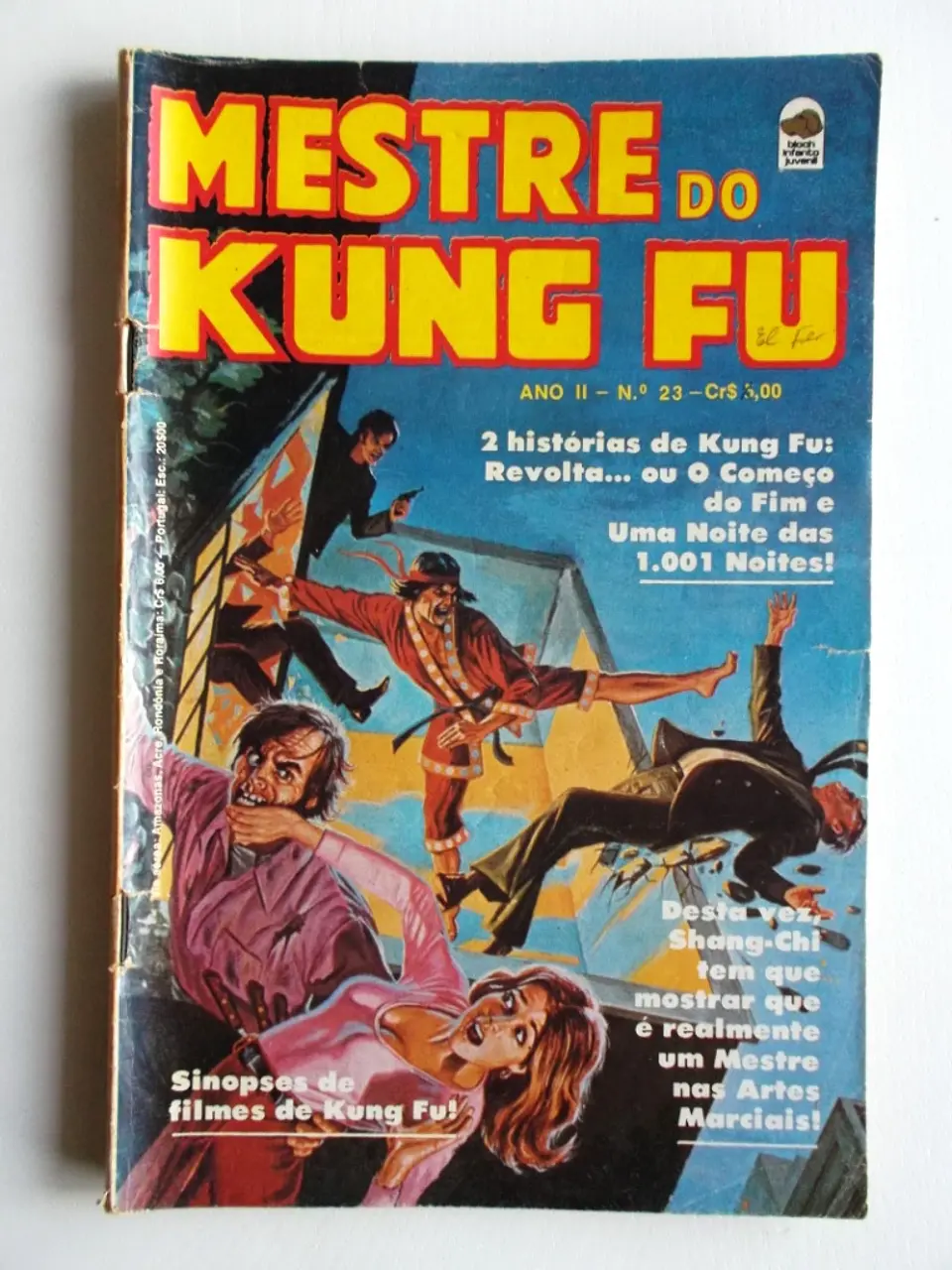 Mestre do Kung fu 23 1