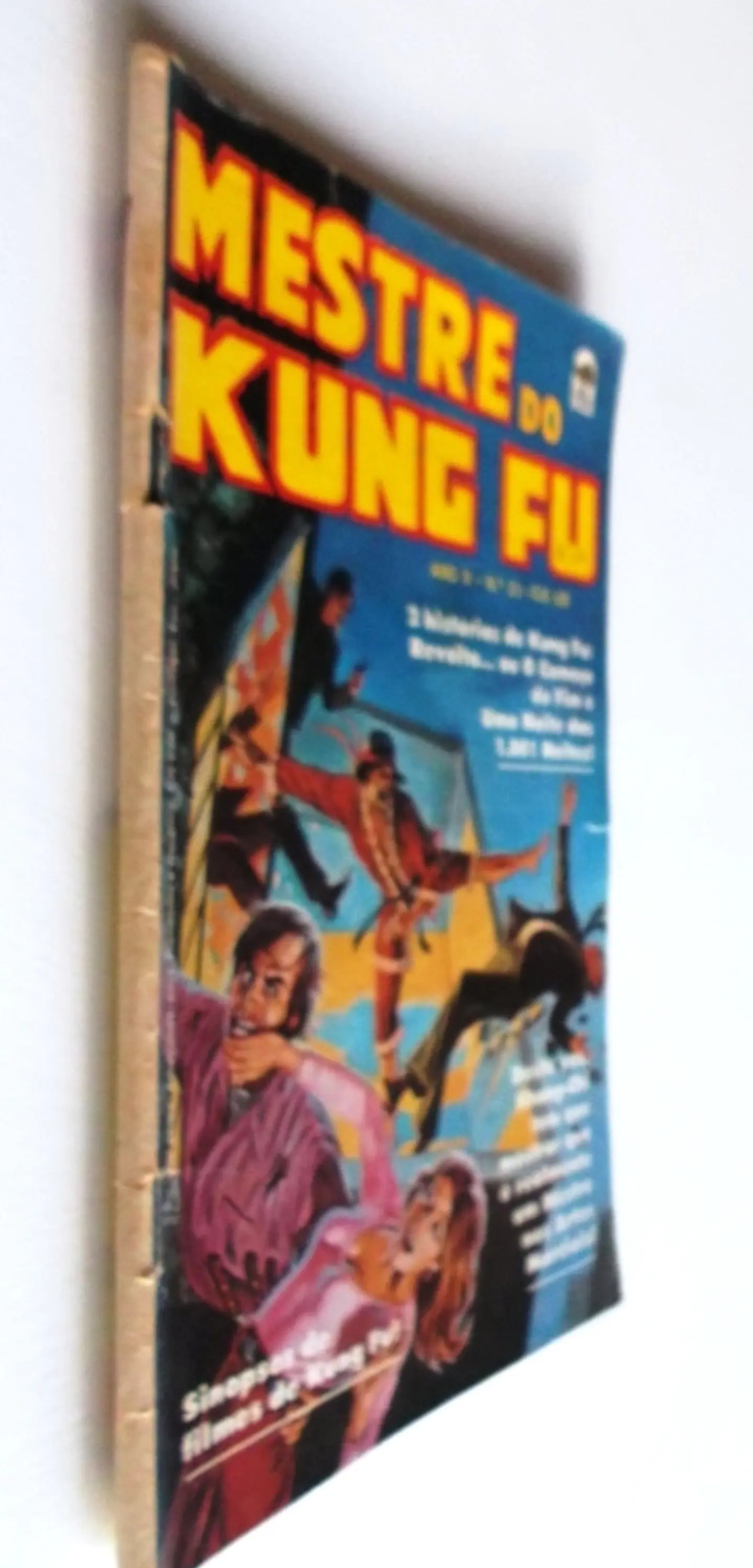 Mestre do Kung fu 23 3