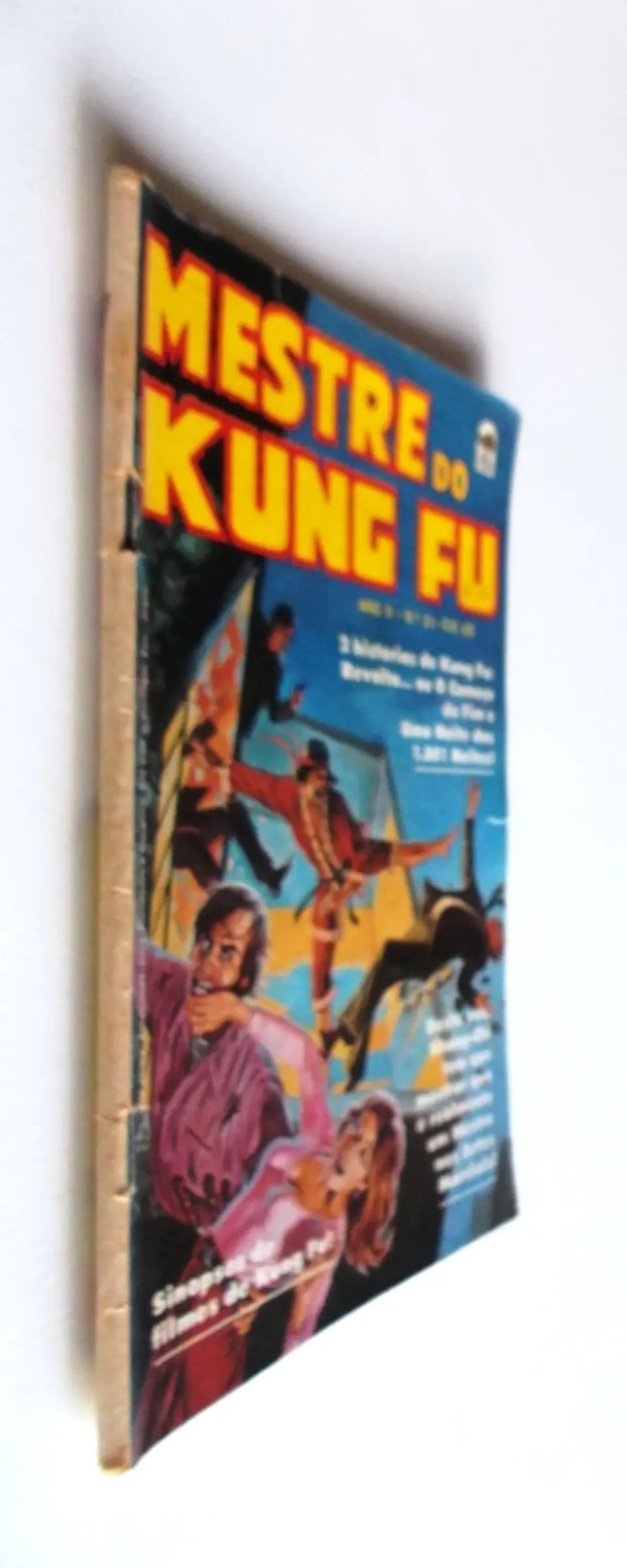 Mestre do Kung fu 23 3