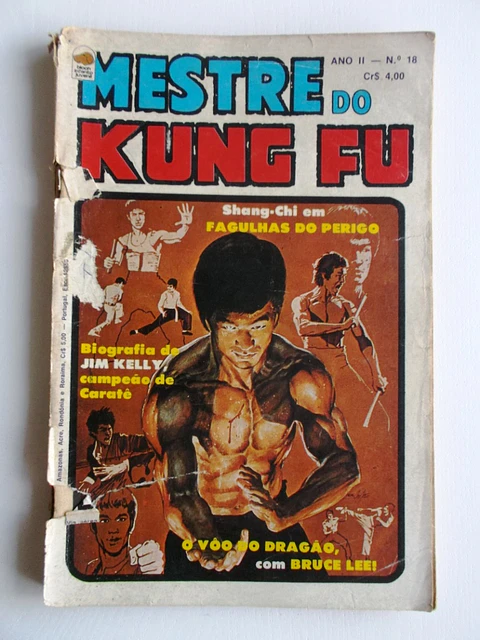Mestre do Kung fu 18