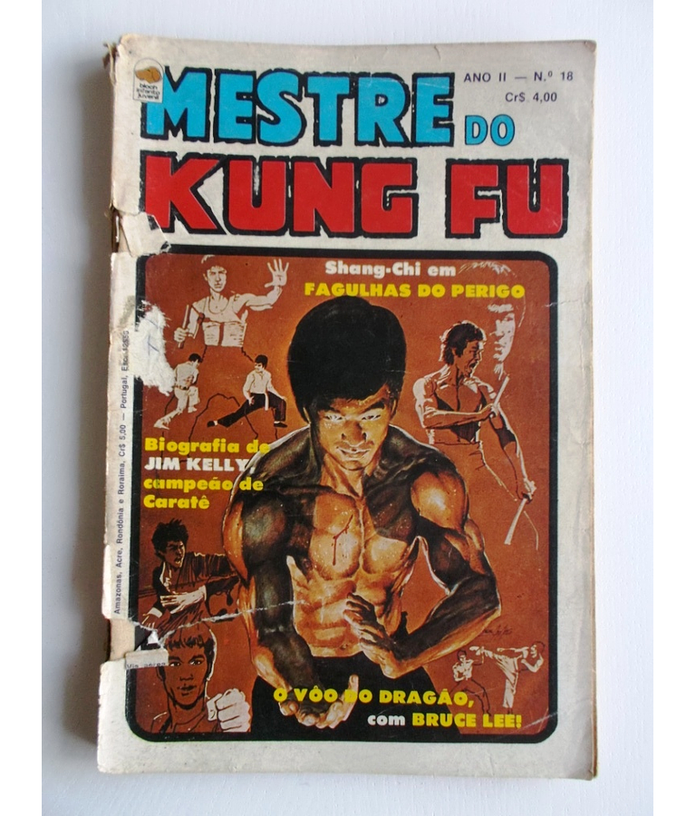 Mestre do Kung fu 18