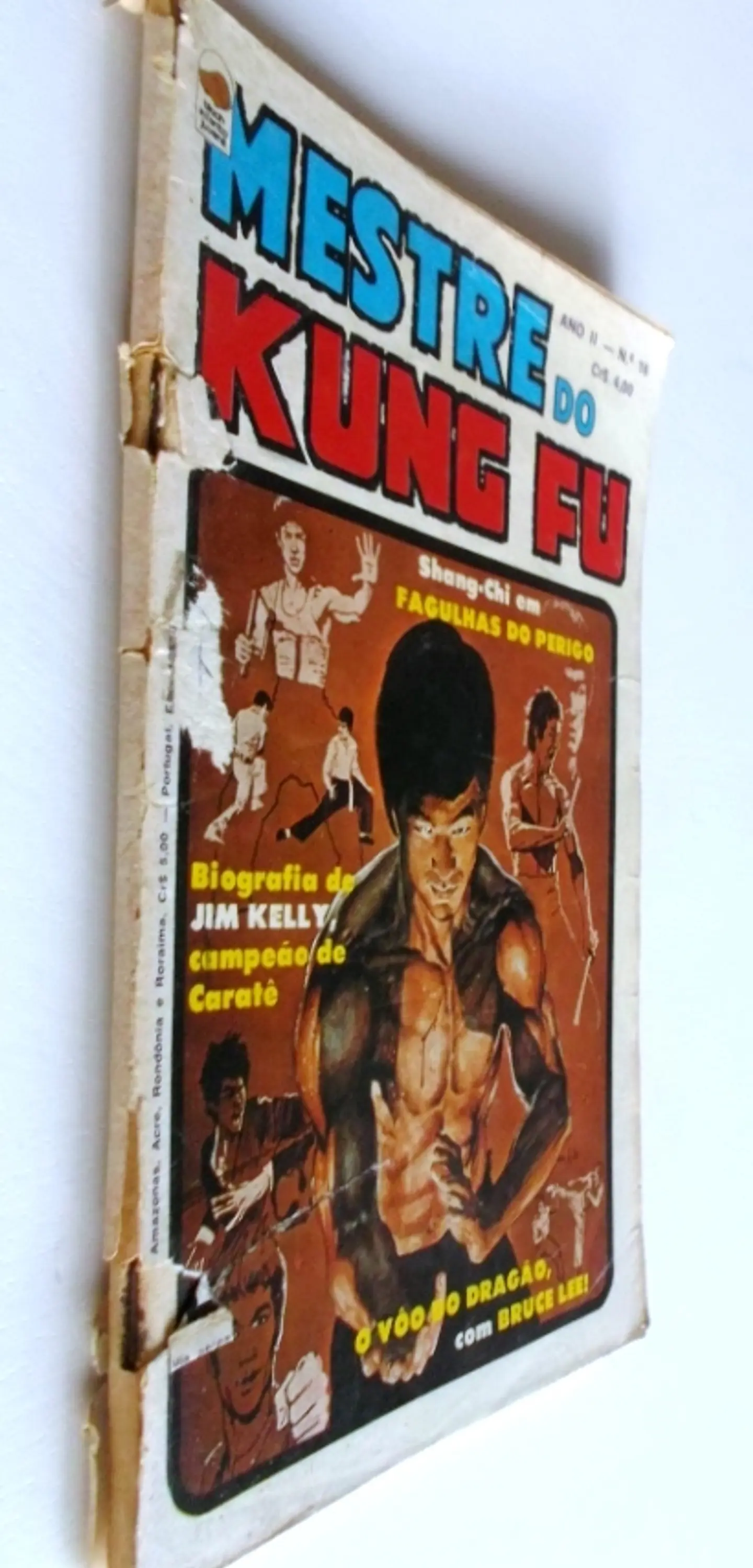 Mestre do Kung fu 18 3