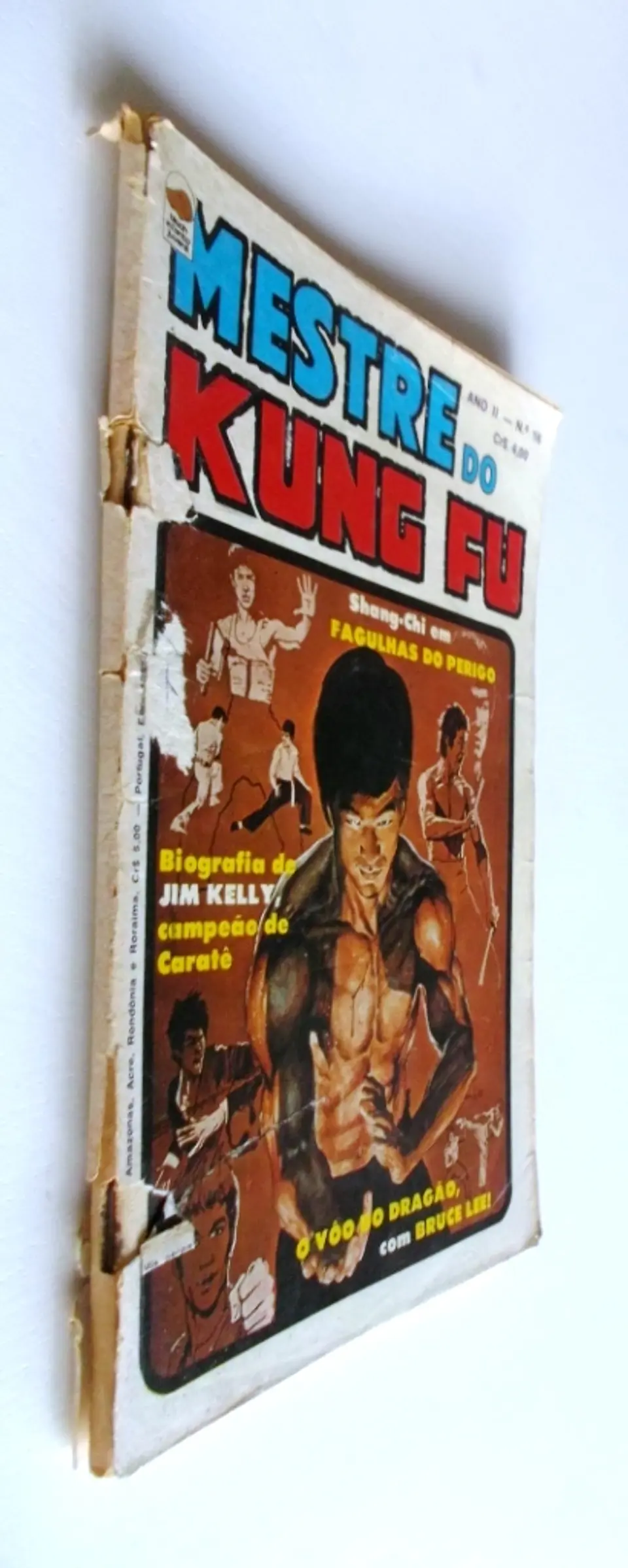 Mestre do Kung fu 18 3