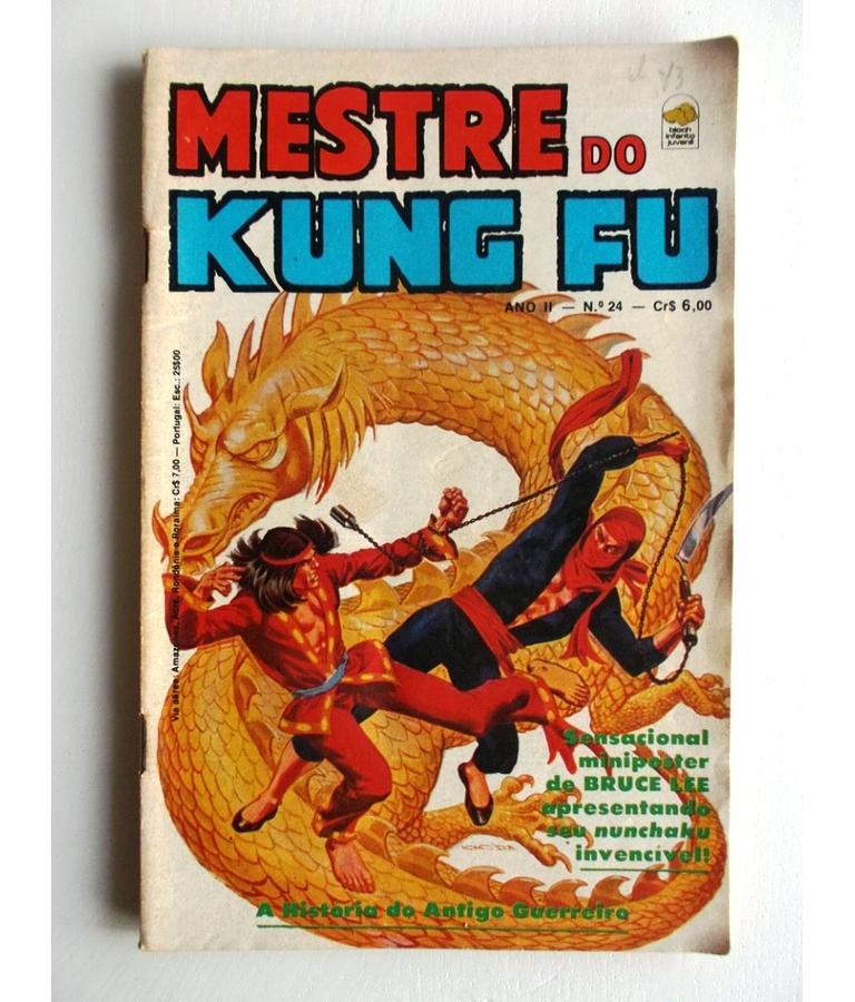 Mestre do Kung fu 24