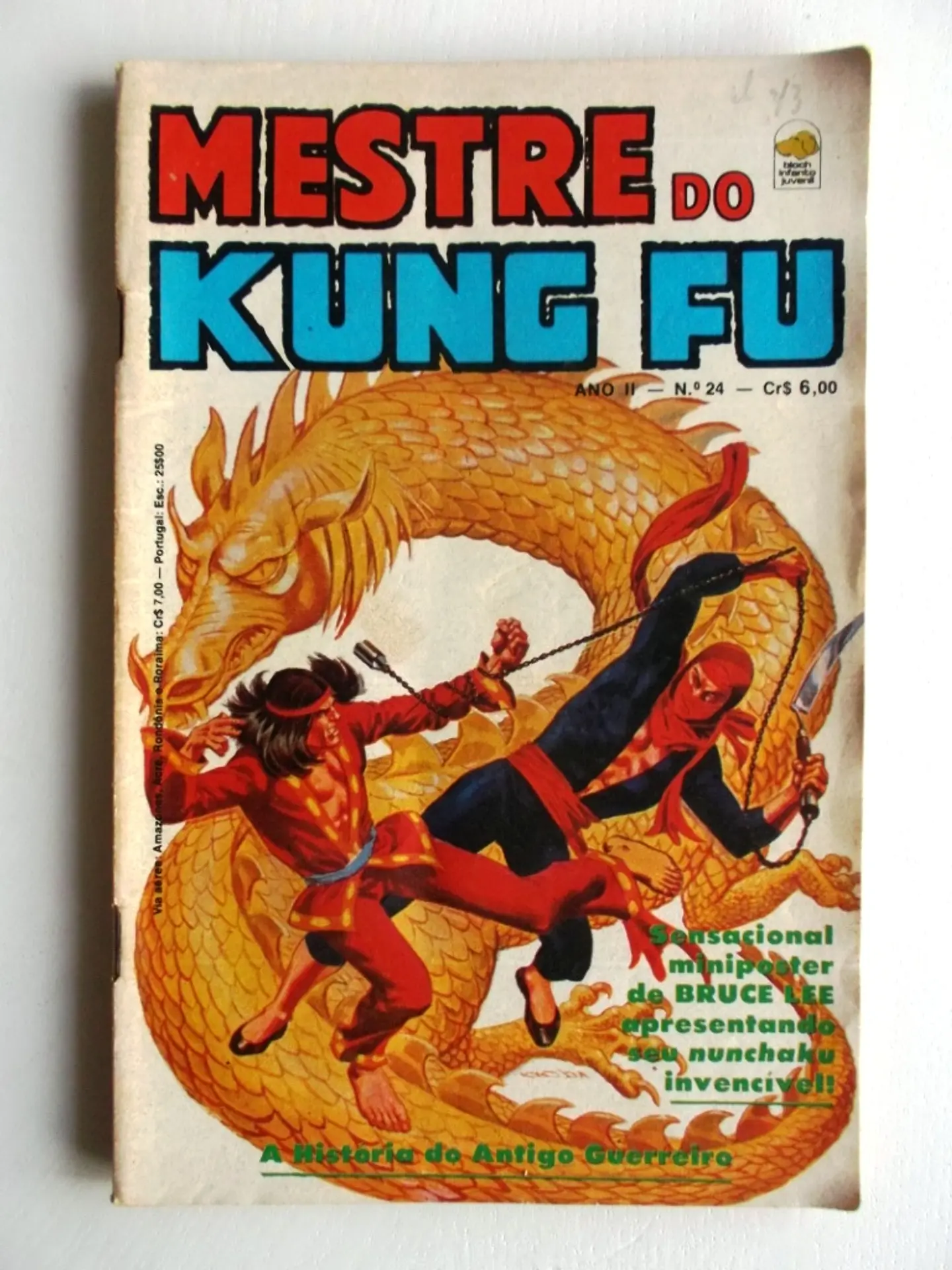 Mestre do Kung fu 24 1