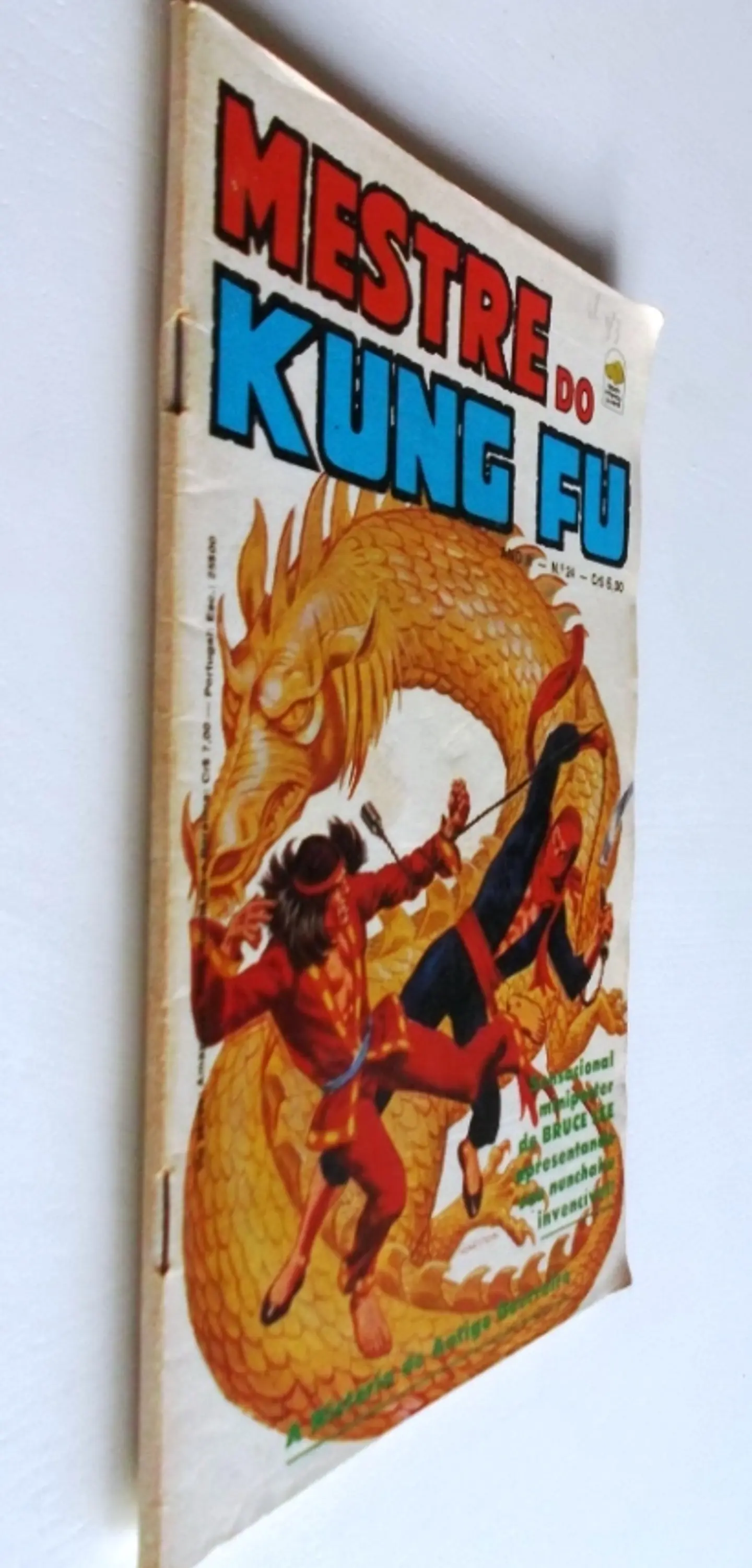 Mestre do Kung fu 24 3
