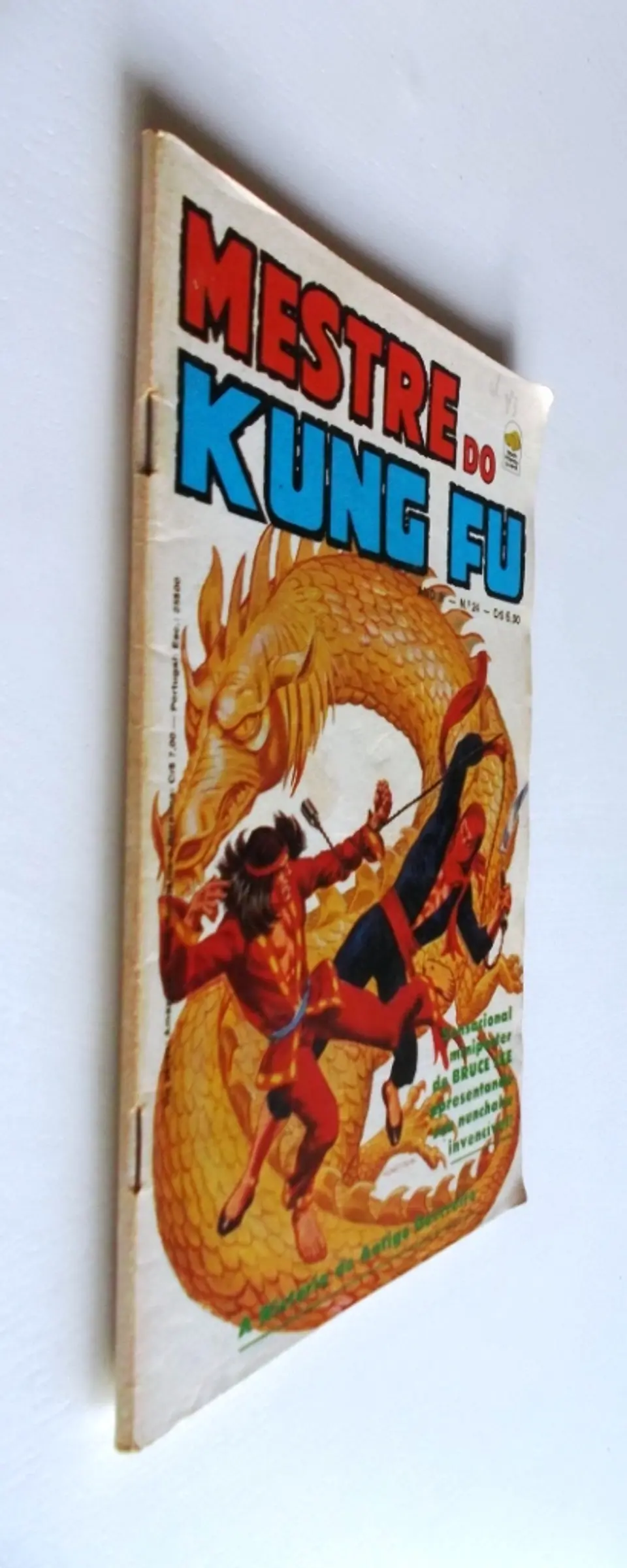 Mestre do Kung fu 24 3