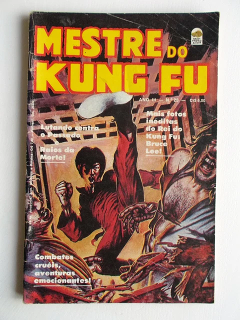 Mestre do Kung fu 25