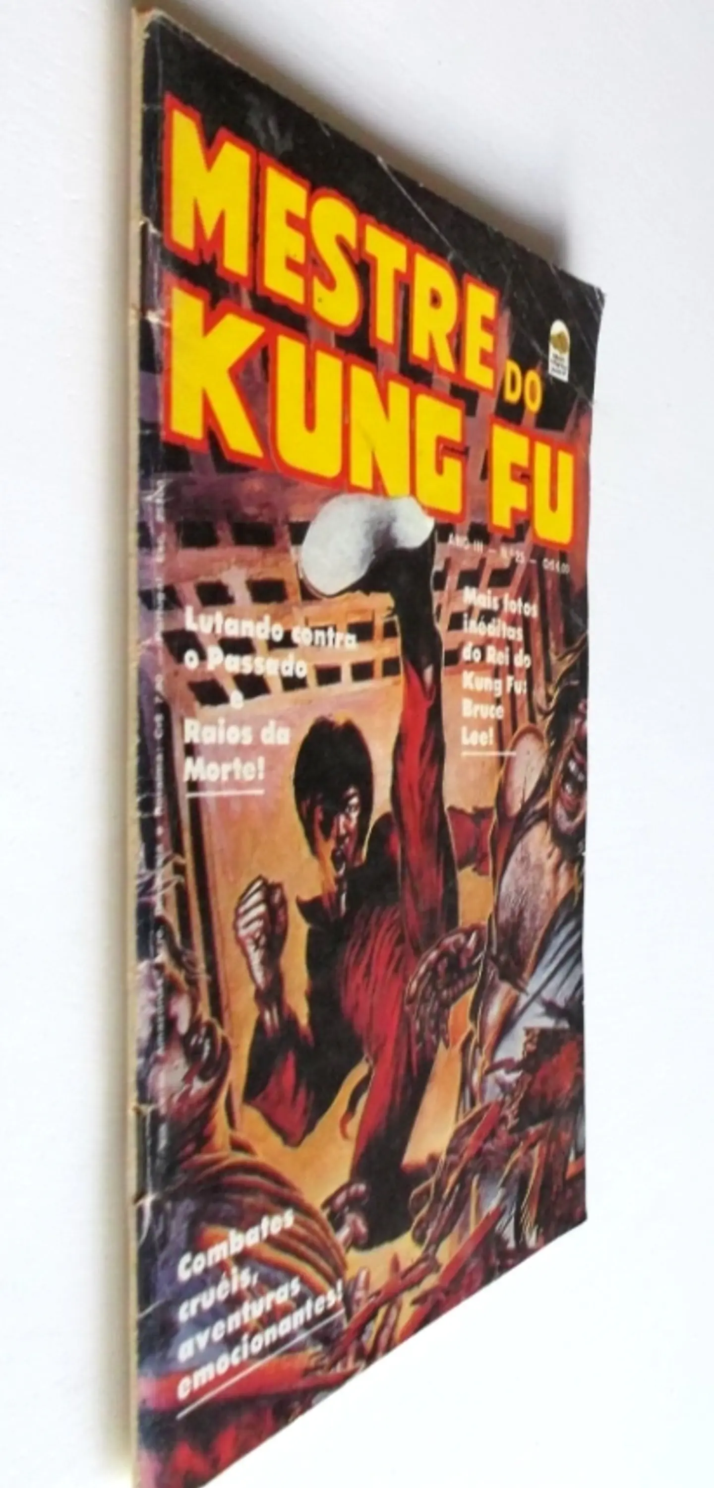 Mestre do Kung fu 25 3