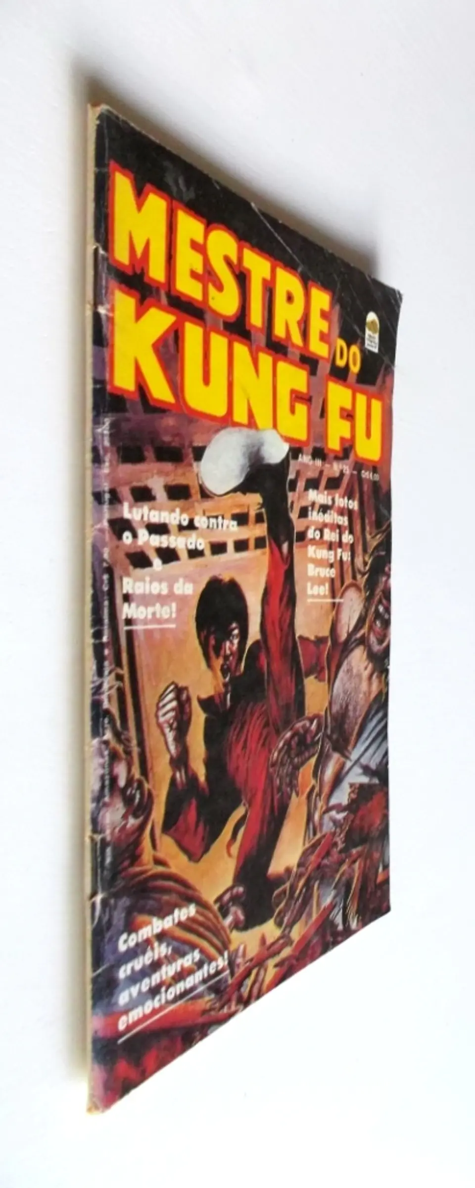 Mestre do Kung fu 25 3