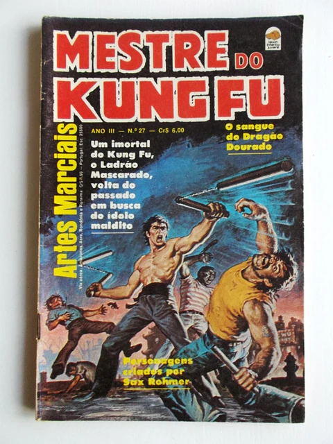 Mestre do Kung fu 27