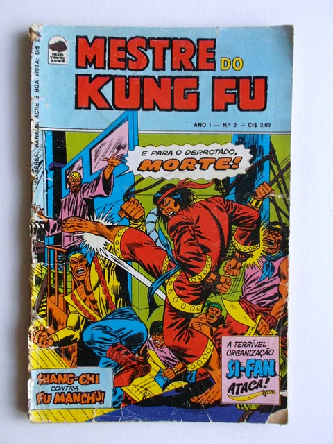 Mestre do Kung fu 02