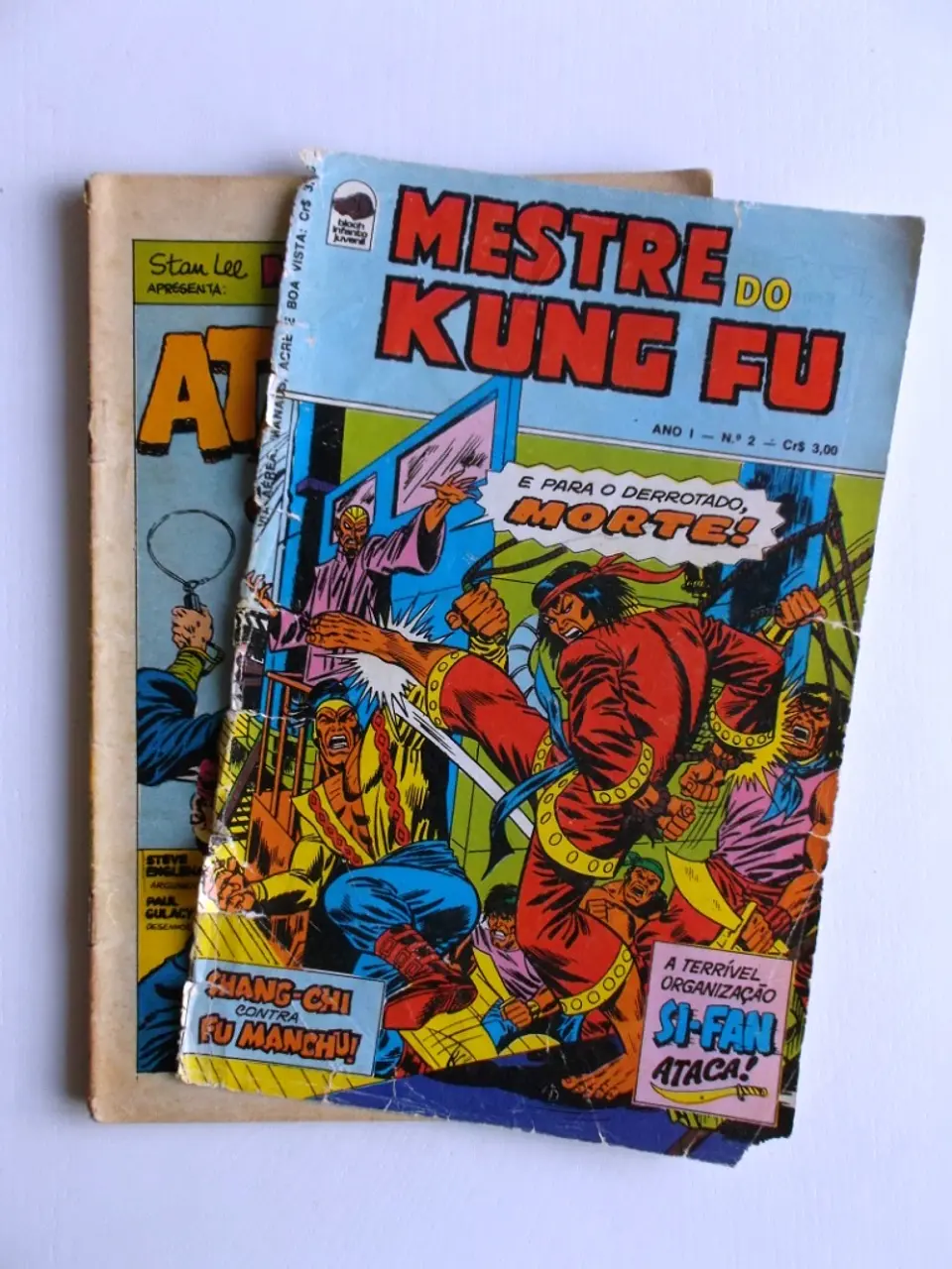 Mestre do Kung fu 02 3