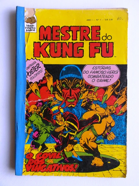 Mestre do Kung fu 01