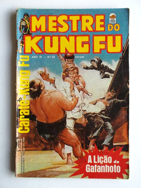 Mestre do Kung fu 28