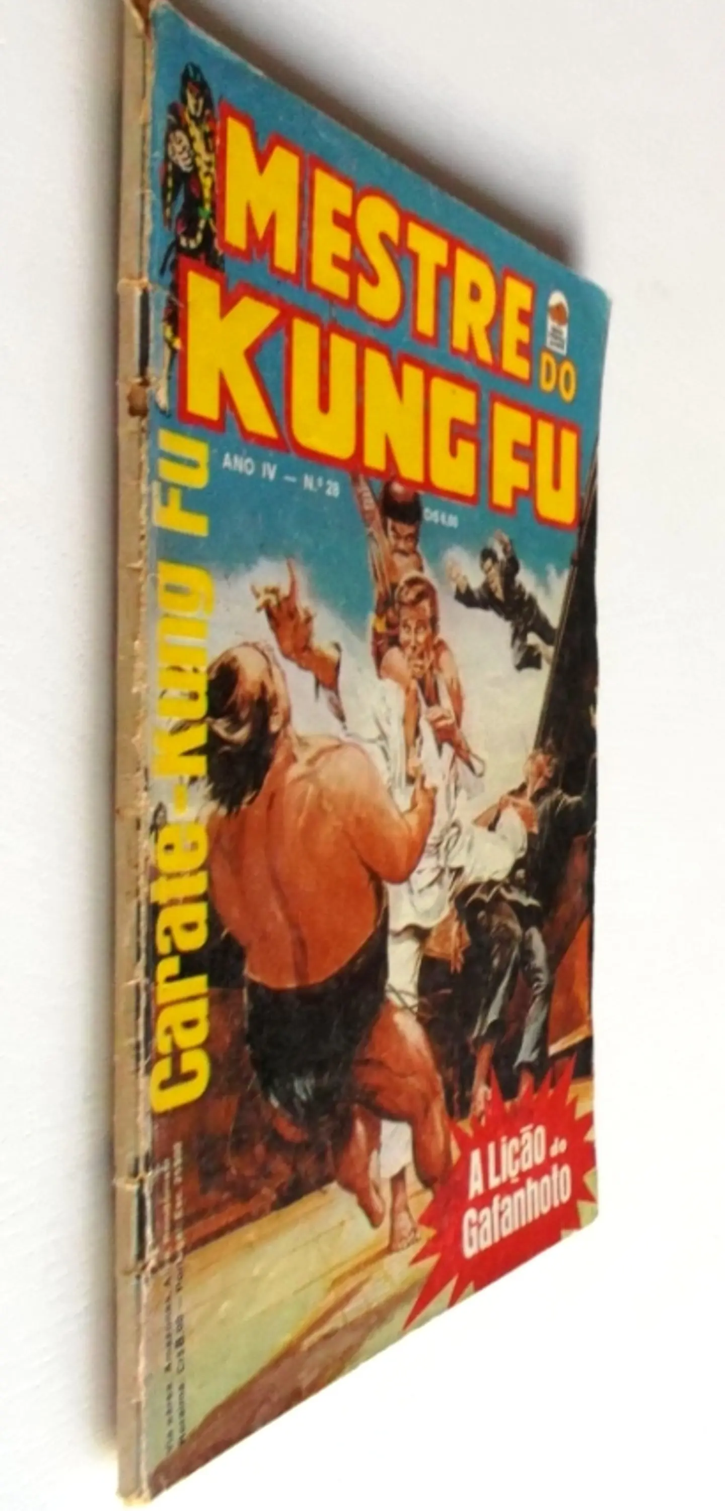 Mestre do Kung fu 28 3