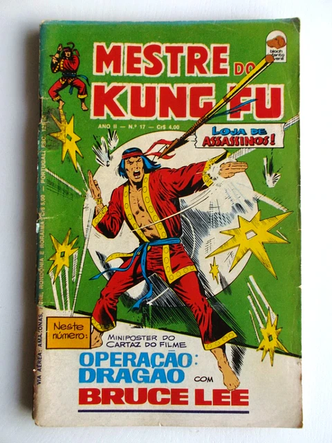 Mestre do Kung fu 17
