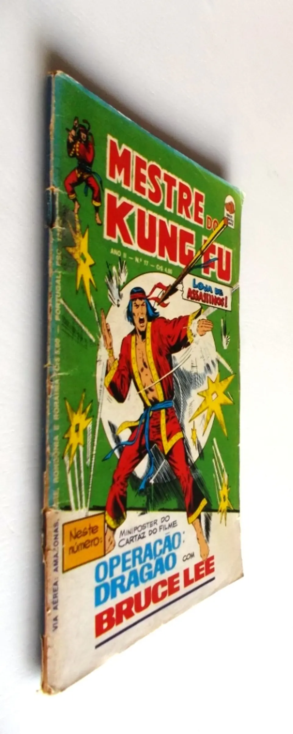 Mestre do Kung fu 17 3