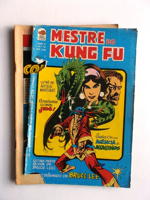 Mestre do Kung fu 16