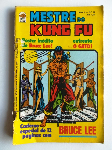 Mestre do Kung fu 15