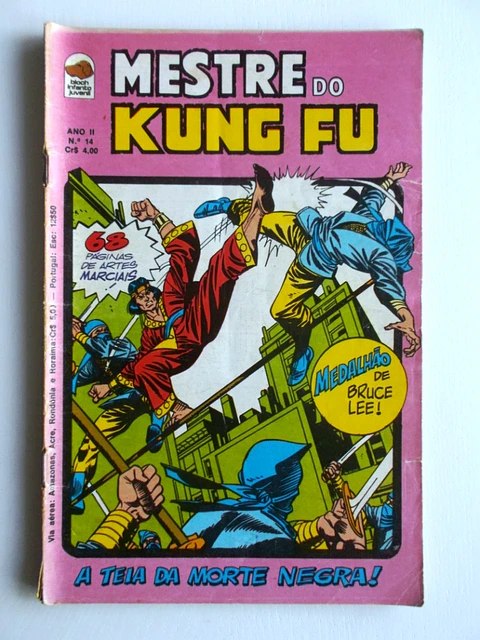 Mestre do Kung fu 14