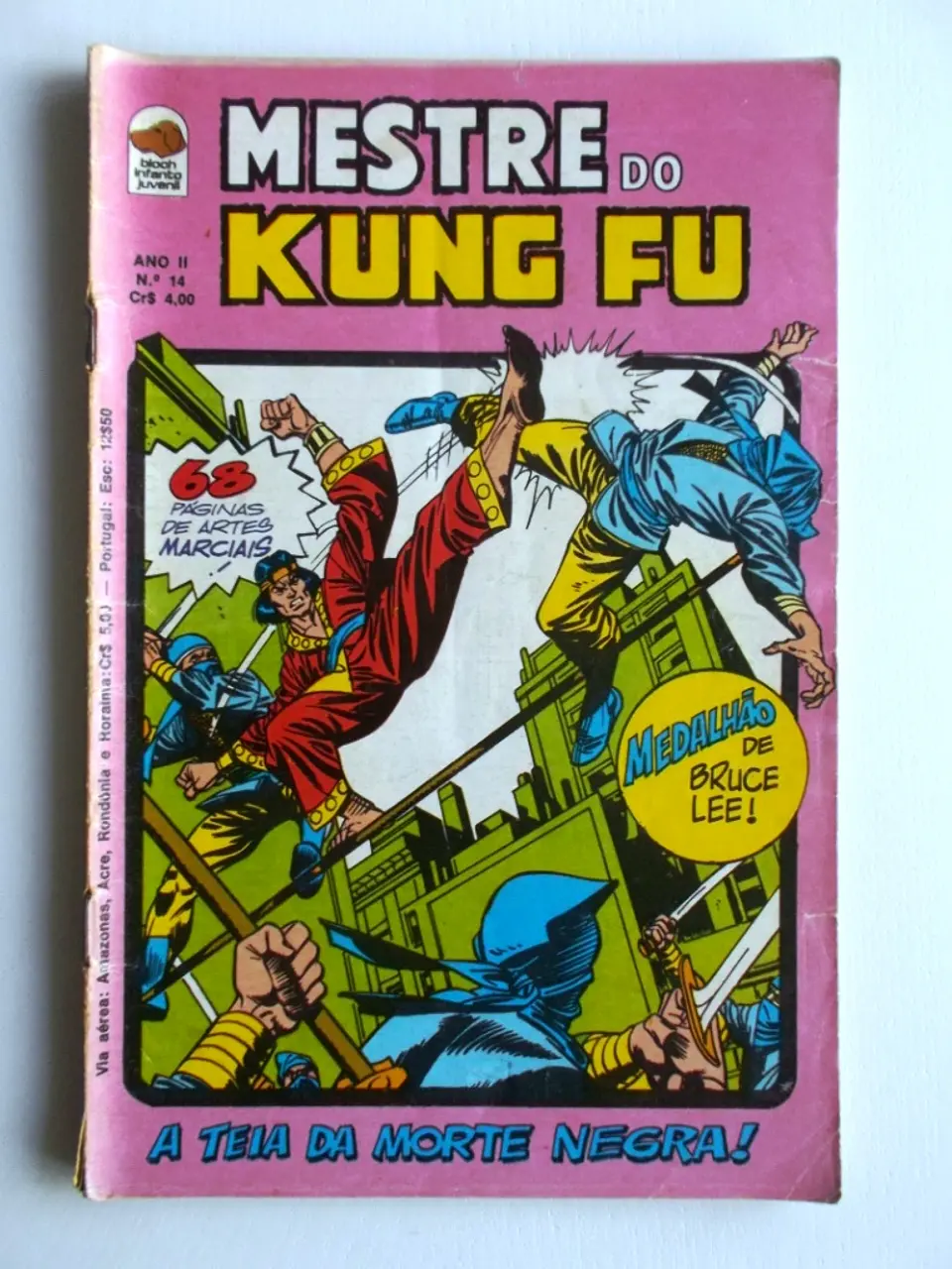Mestre do Kung fu 14 1
