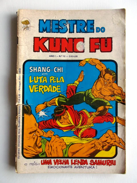 Mestre do Kung fu 12